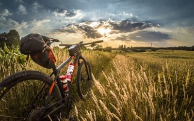 Escapade à vélo sur la Voie Verte : Découvrez la Seine à Vélo