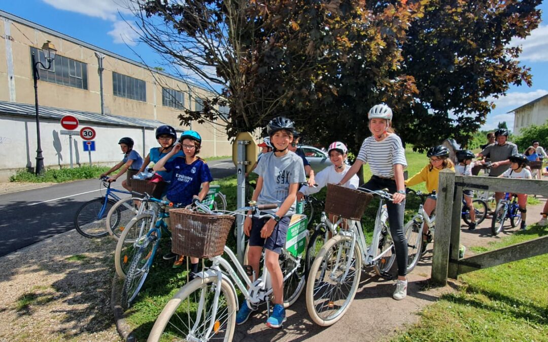 Escapade à vélo dans le Marais Vernier : Découvrez un havre de nature préservée