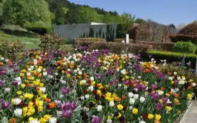 Waarom de tuinen van Claude Monet bezoeken in de lente en het museum van Giverny?