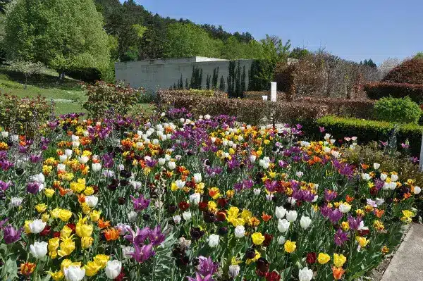 garden monet foundation giverny normandy culture