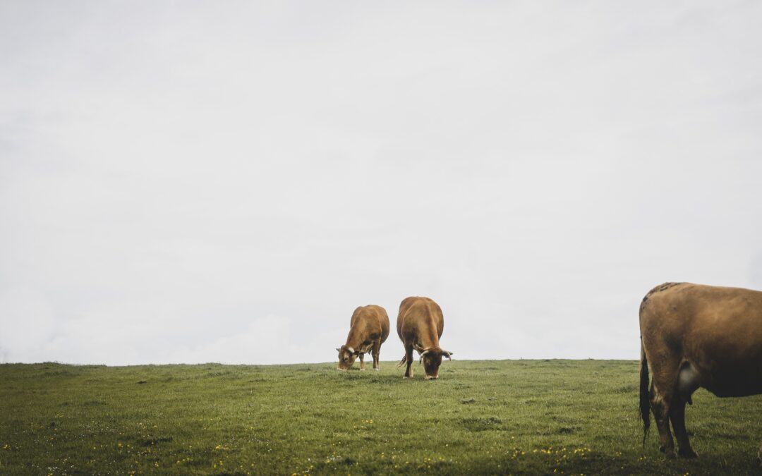 les randonnées en Normandie, des belles découvertes dans l’Eure