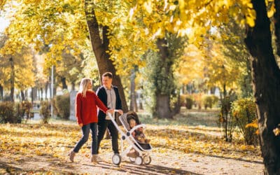 Douceur Normande : découvrez les plaisirs de l’automne à moins de 2h de Paris !