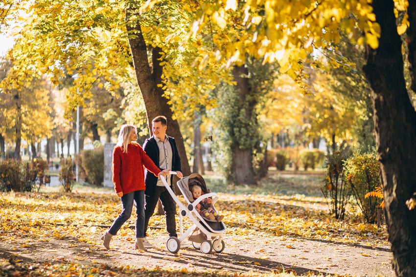 En quête de la sérénité automnale, une famille parisienne se perd dans la forêt de l'Eure, à un court trajet de la ville lumière. Les feuilles tombent doucement autour d'eux, créant une atmosphère empreinte de magie. Une évasion bienvenue pour cette famille en quête d'aventure en pleine nature.