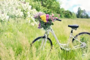 velo marais vernier