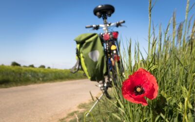 Activités Sportives à Proximité du Gîte : Le Paradis des Amateurs de Nature