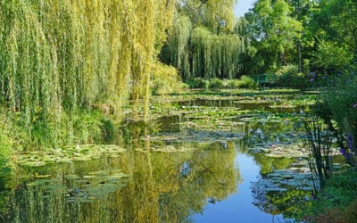 Les Jardins de Monet au Printemps : Une Expérience à Ne Pas Manquer